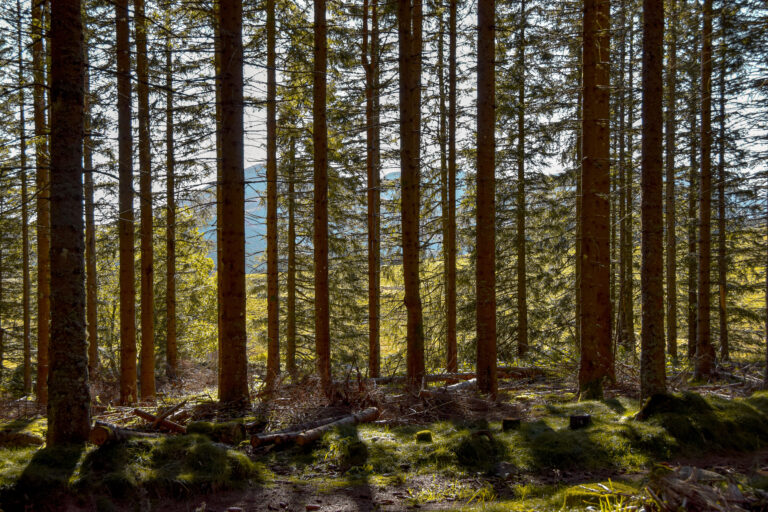 Partir seule : choix du cœur ou de la raison ?