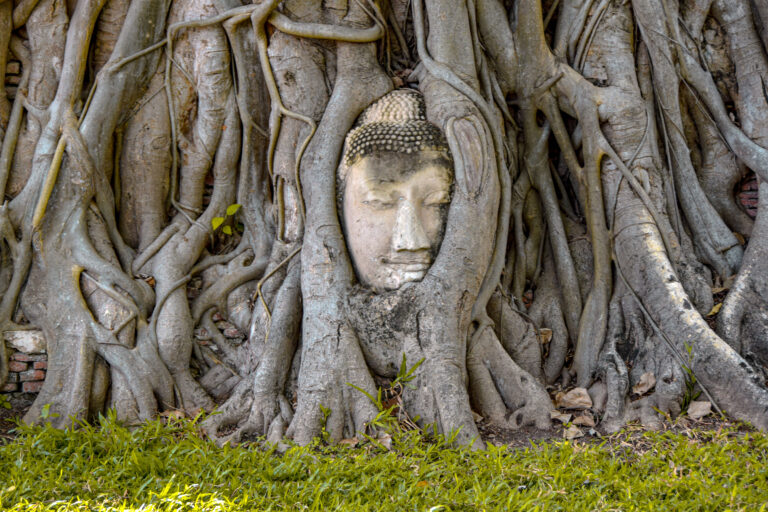 Ayutthaya : guide pratique d&rsquo;une excursion depuis Bangkok