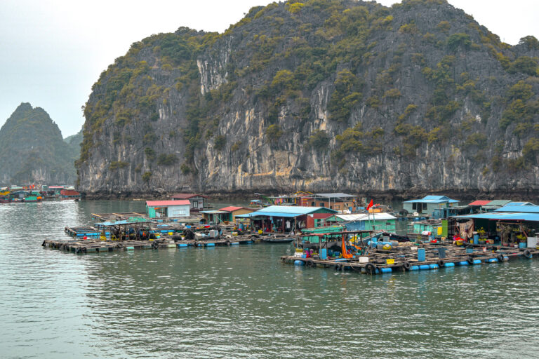 Guide pratique pour une croisière sur la baie d&rsquo;Halong