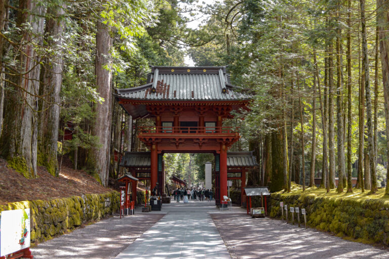 Une journée pour visiter Nikko depuis Tokyo