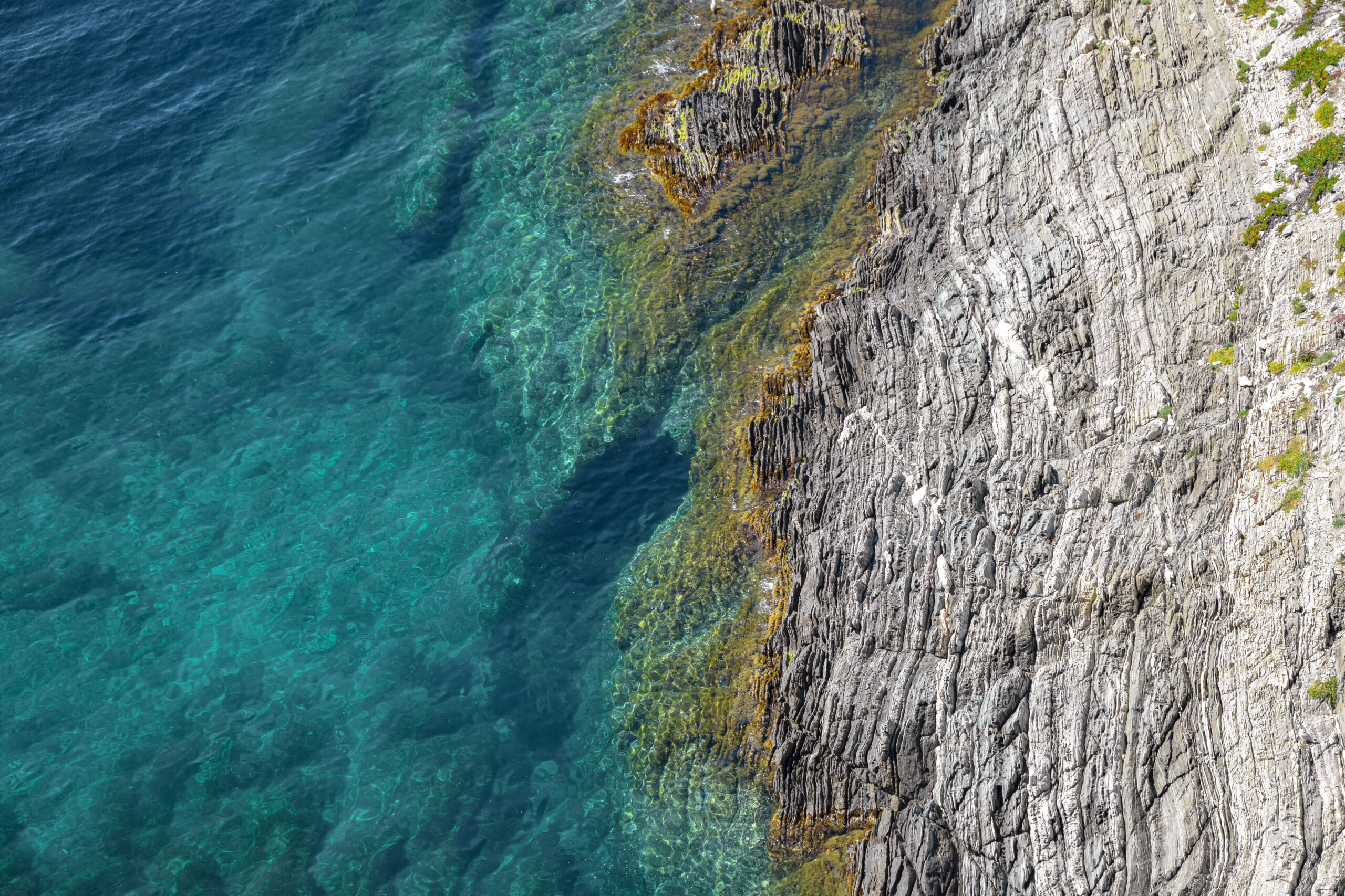 Que faire sur la Côte d&rsquo;Azur ? Les meilleures expériences