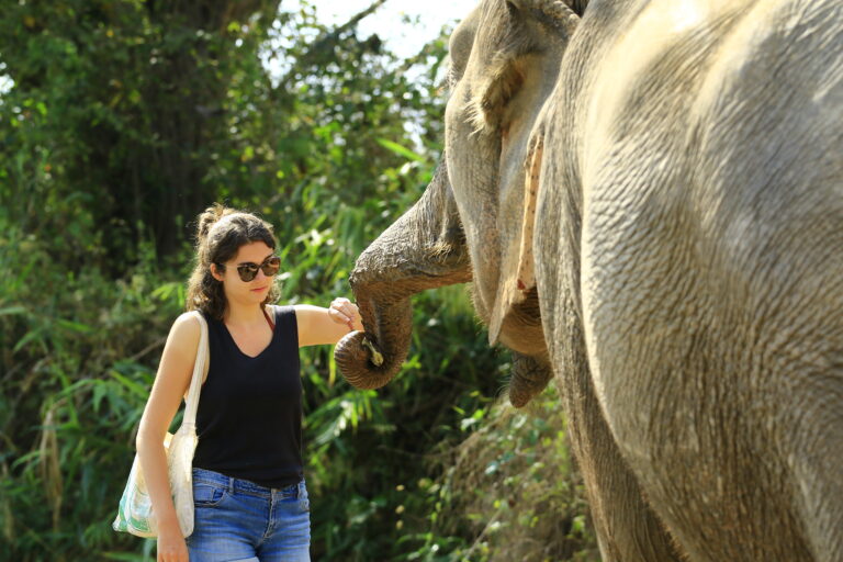 Mon expérience d’un sanctuaire pour éléphants éthique à Chiang Mai