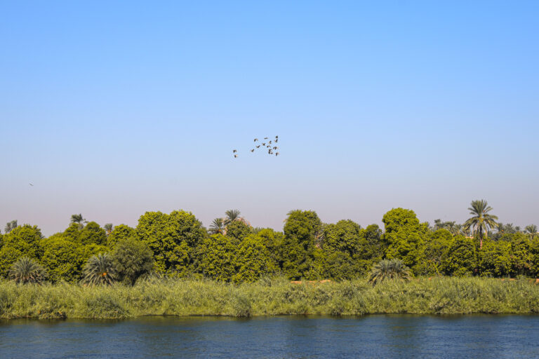 Féminité et voyage en Égypte : entre regards, attentes et réalités