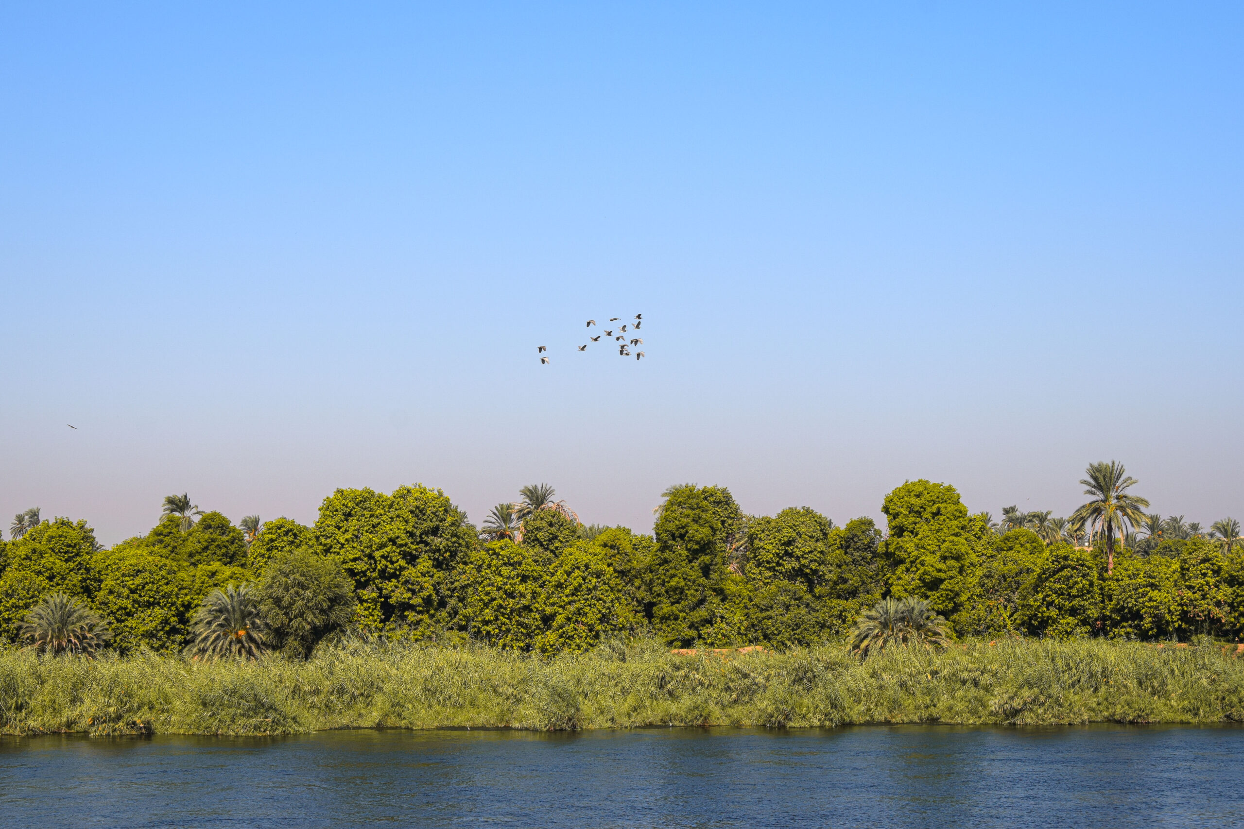 Féminité et voyage en Égypte : entre regards, attentes et réalités