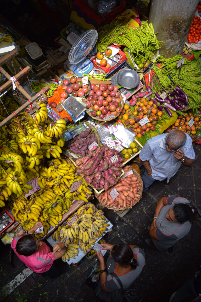 Port-Louis : comprendre l’île Maurice à travers sa capitale